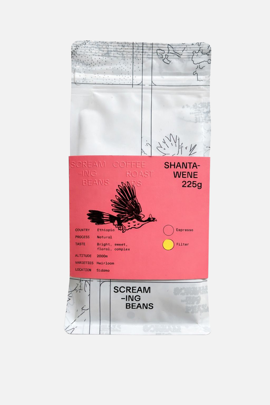 Shantawene | Filter